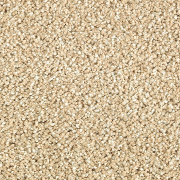 Beach Pebble