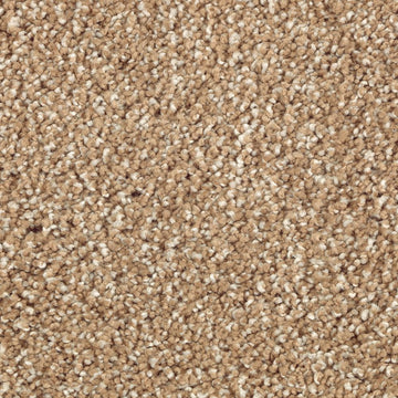 Brushed Suede