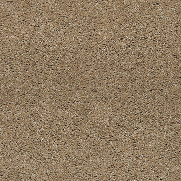 Hearth Beige