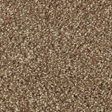 Nutmeg