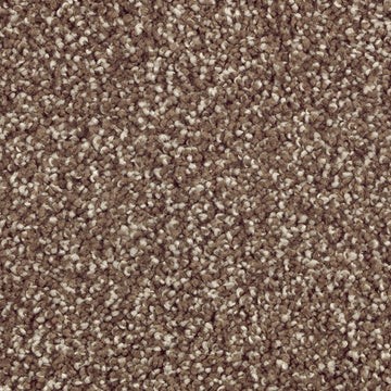 Dried Peat