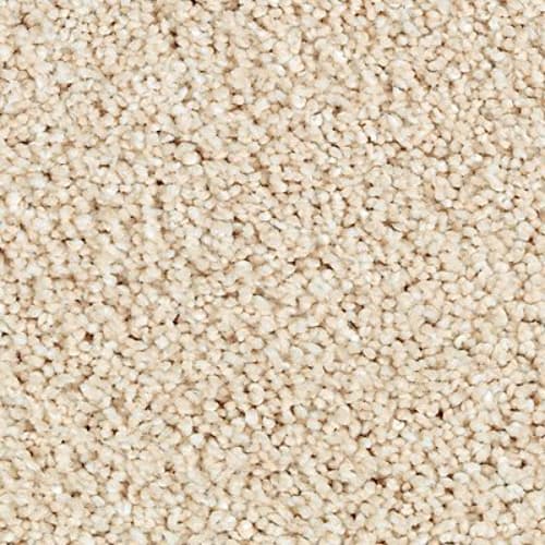 NATURAL REFINEMENTII in Antique Ivory Carpet