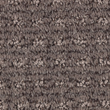 Black Walnut