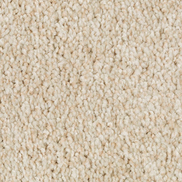 Enchanting Beige