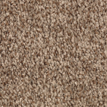 Desert Crackle