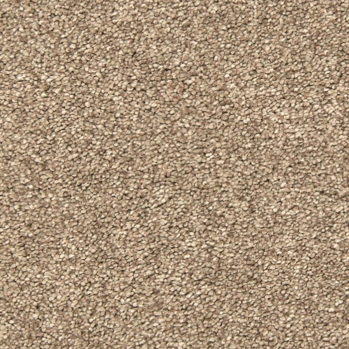 Mohawk Bold Creation Carpet Flooring