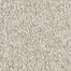 Mohawk Tonal Chic I Carpet Flooring