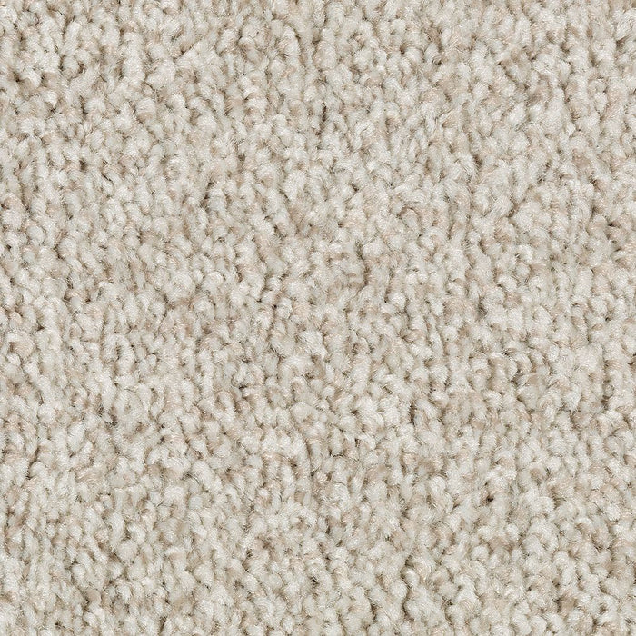 Mohawk Tonal Chic I Carpet Flooring