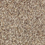 Mohawk Nature's Luxury II Carpet Flooring