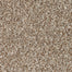 Mohawk True Harmony Carpet Flooring