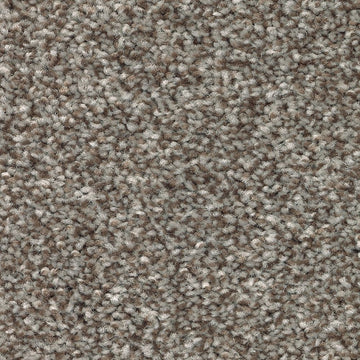 Nutmeg
