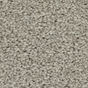Ice Grey