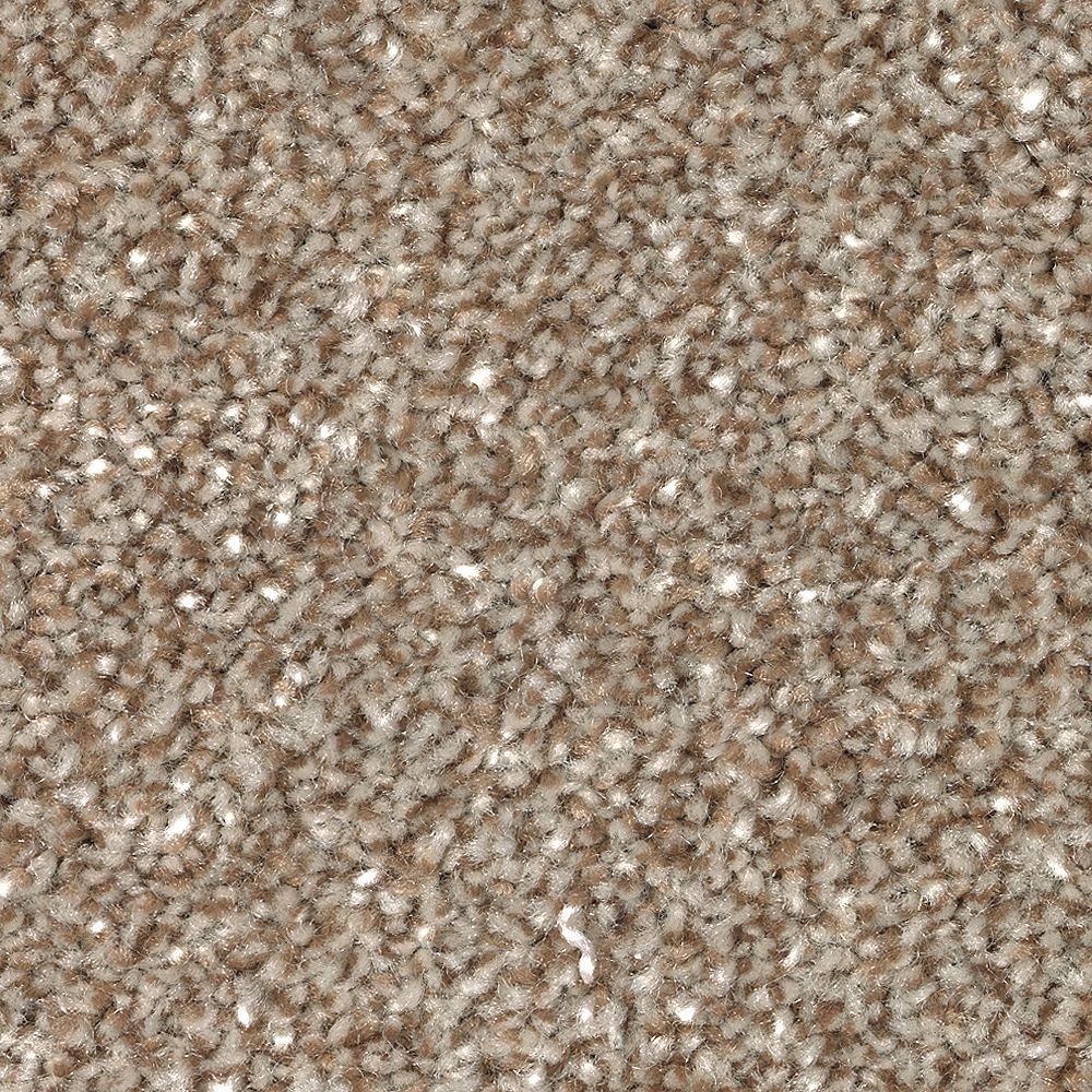 Mohawk True Unity Carpet Flooring