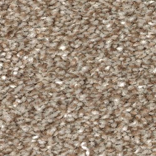 True Unity in Americana Carpet