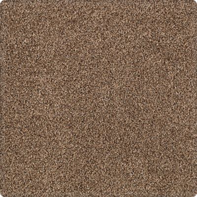 Karastan Ambassador Peaceful Rhythm Carpet Flooring