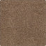 Karastan Ambassador Peaceful Rhythm Carpet Flooring