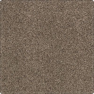 Karastan Tranquil Shades Carpet Flooring