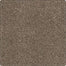 Karastan Tranquil Shades Carpet Flooring