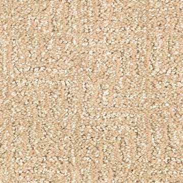 Maple Tint