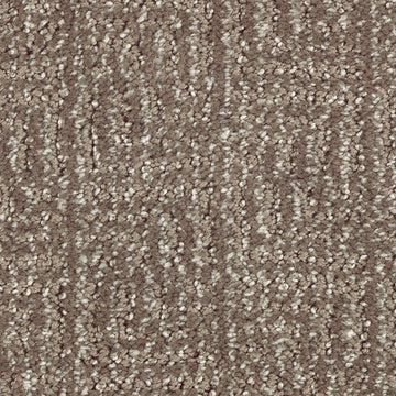 Dried Peat