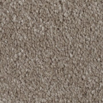 Wool Socks