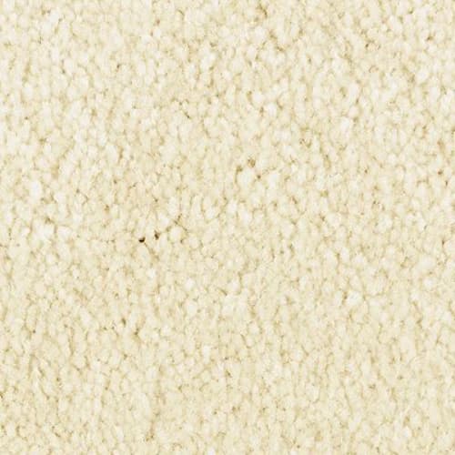 Elegant Appeal II in Flaky Coconut Carpet
