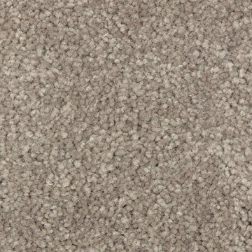 Tomorrow's Taupe