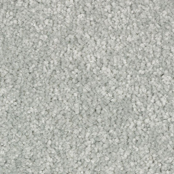 Calypso