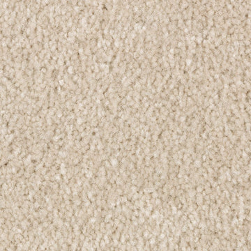 Desert Dust