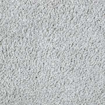 Winter Ash