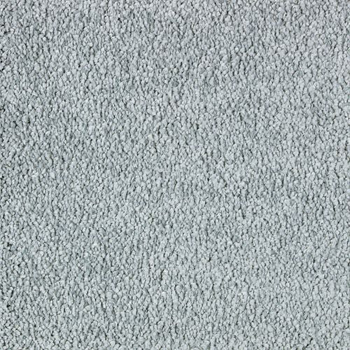 Exquisite Attraction