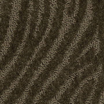 Cocoa