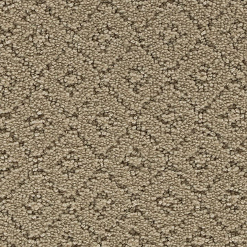 Seashell