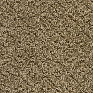 Rococo Beige