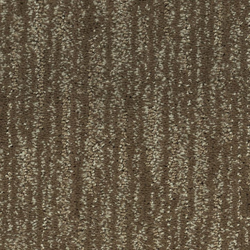 Pine Cone