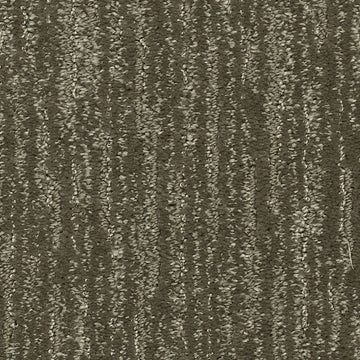 Dried Peat
