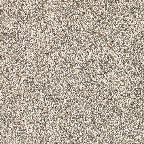 Blissful Manner in Almond Wash Carpet