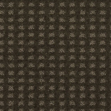 Cocoa