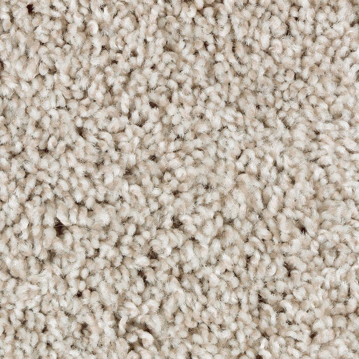 Mohawk Perfect Attraction Carpet Flooring