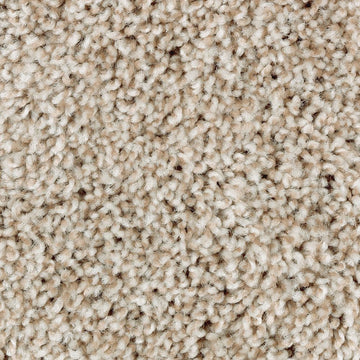 Thatch Roof