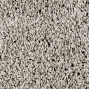 True Taupe