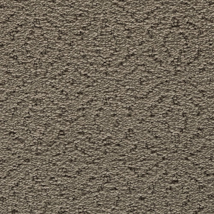 Mohawk Exquisite Charm Carpet Flooring