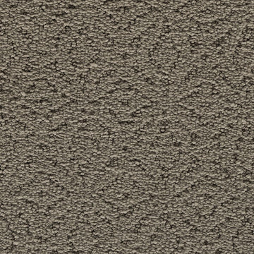 Moonlit Grey