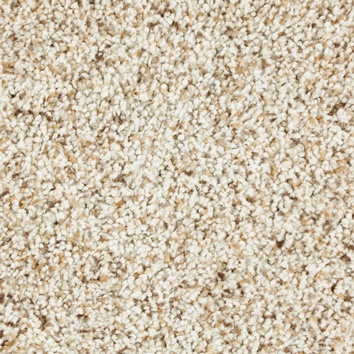 Mohawk Exquisite Style Carpet Flooring