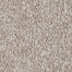 Mohawk True Melody Carpet Flooring
