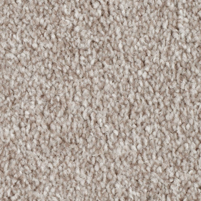 Mohawk True Melody Carpet Flooring