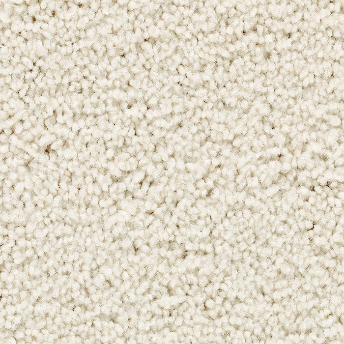 Karastan Artisan Delight Carpet Flooring