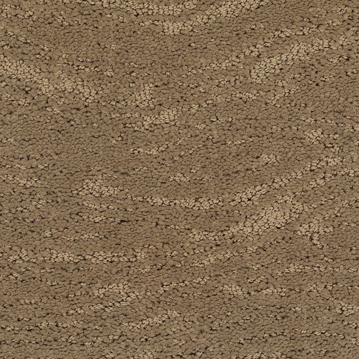 Karastan Ambassador Trendy Essence Carpet Flooring