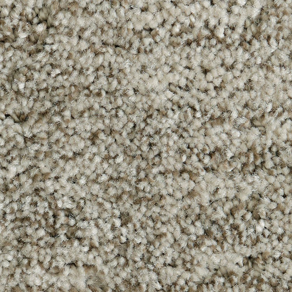 Mohawk Random Nature Carpet Flooring