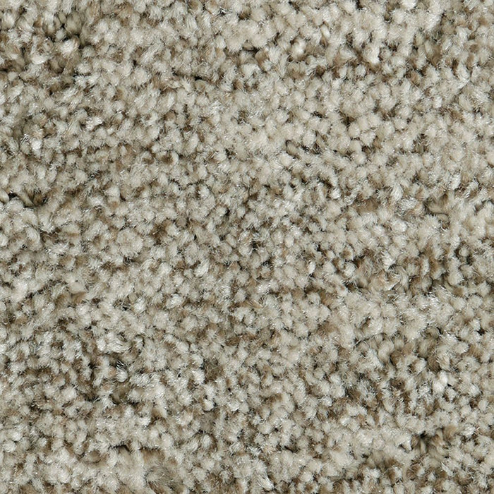 Mohawk Random Nature Carpet Flooring